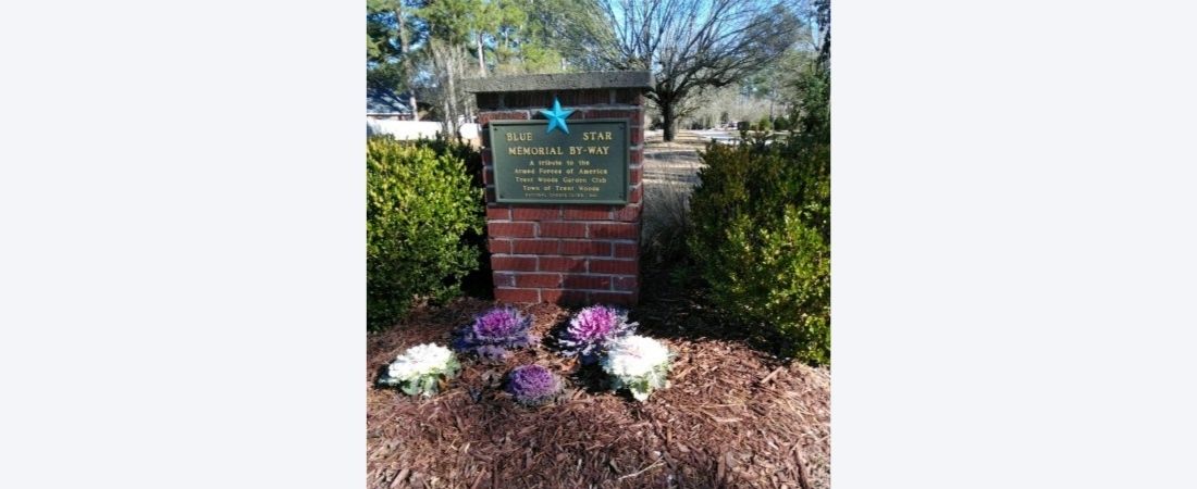 Blue Star Memorial Marker in New Bern