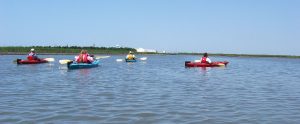 Kayak the Salt Marsh