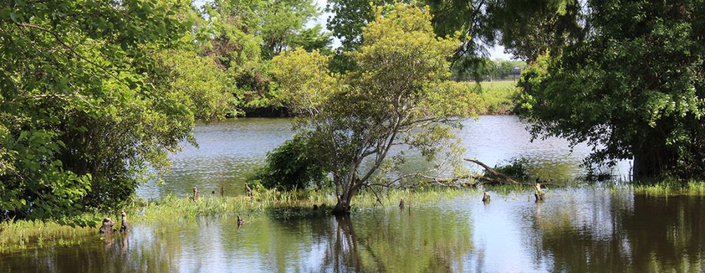 Lawson Creek in New Bern, NC