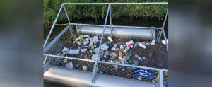 Trash Trout located in Jack’s Creek in Washington, NC