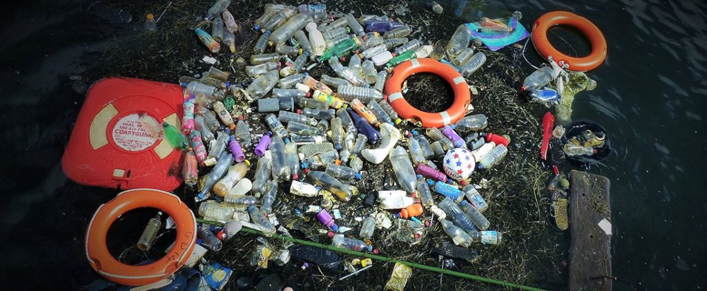 Carolina Nature Coalition presents Plastics by the Sea