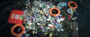 Carolina Nature Coalition presents Plastics by the Sea