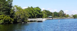 The banks of the Trent River in New Bern, NC