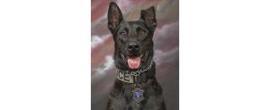 Passing of New Bern Police K-9 Lok