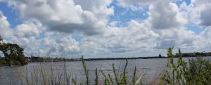 Banks of the Trent River in New Bern, NC