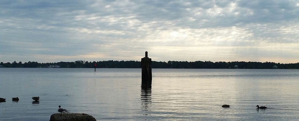 Neuse River at Union Point Park in New Bern, NC