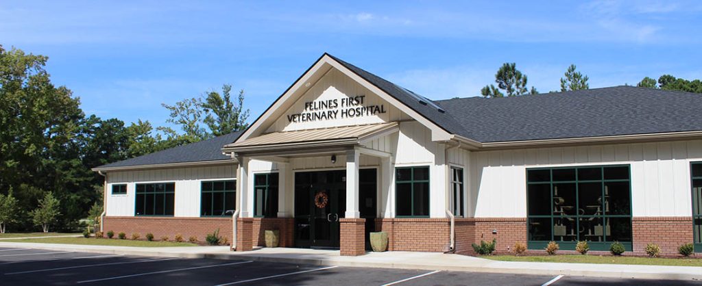 Open House to Celebrate the Opening of Felines First Veterinary Hospital |  New Bern's Local News and Information – 