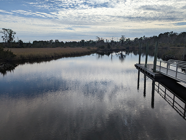 Lathan-Whitehurst Nature Park (photo by Elaine Rouse for New Bern Now)