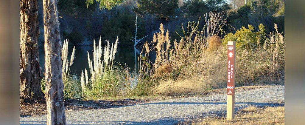 Trail at Martin Marietta Park in New Bern, NC