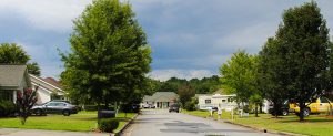 Neighborhood in New Bern, NC (photo by Wendy Card)