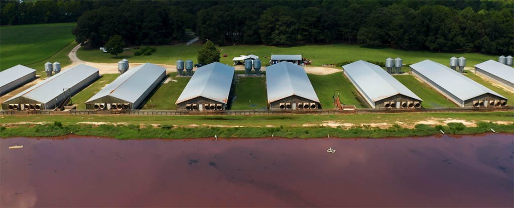 Photo of Consolidate Animal Farming Operations from The Smell of Money documentary.