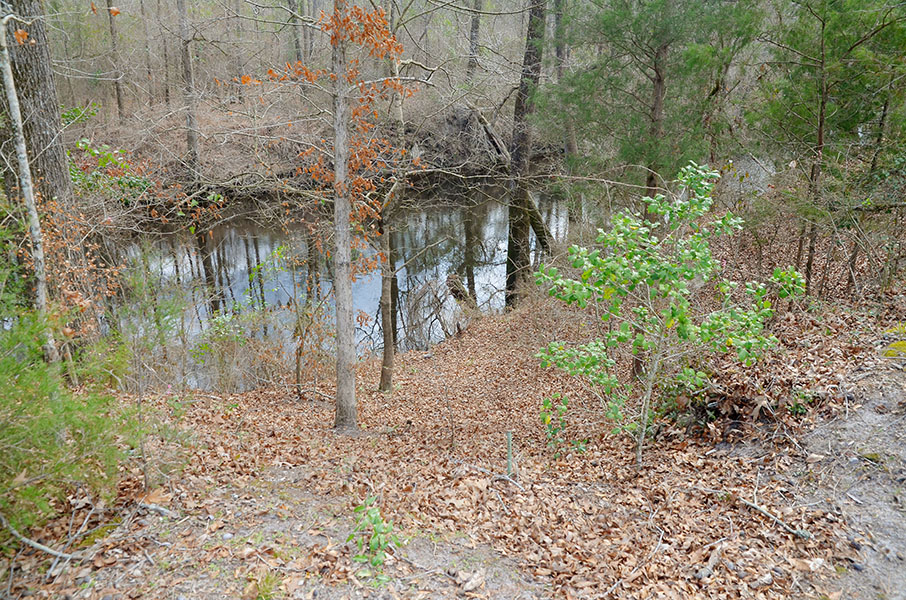 A narrow branch of the Trent River once referred to as the "Deep Hole" runs behind the site of the historic Barber Graveyard in Trenton. Photo by Todd Wetherington.