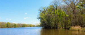 Neuse River at Spring Garden Boat Launch. Photo by Wendy Card.