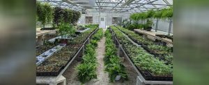 West Craven High School Plant Sale Fundraiser