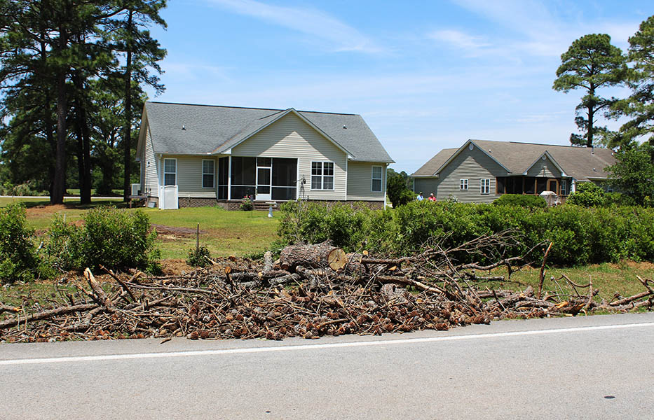 Fallen trees on side of Broad Creek Road after supercell storm in Fairfield Harbour. Photo by Wendy Card.