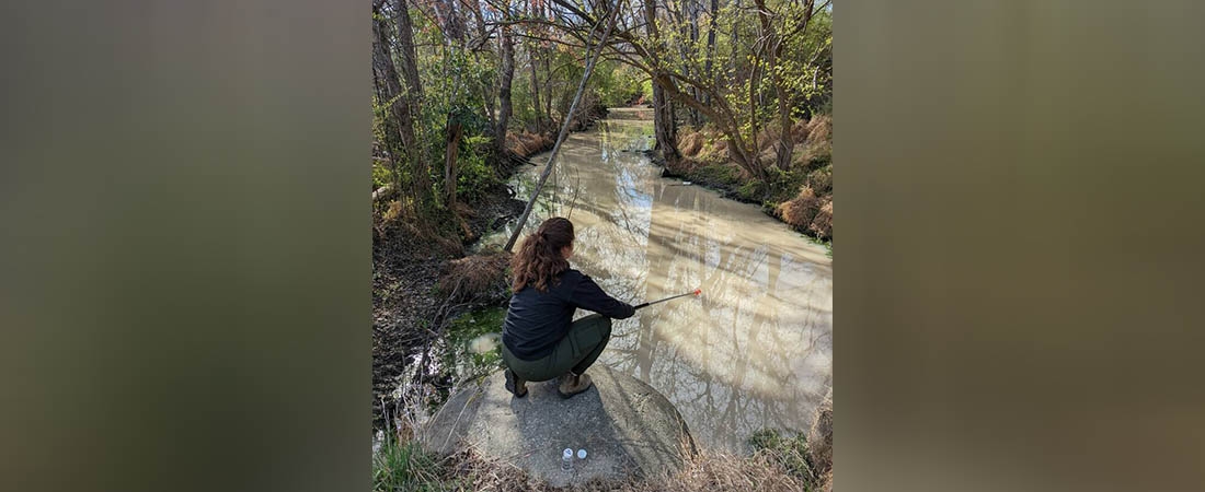 Sound Rivers’ Water Quality Specialist Taylor Register takes a water sample to test for bacteria. Today, Sound Rivers launched Swim Guide, the summer-long public service that lets people know where it’s safe to swim in local waterways. (Sound Rivers)