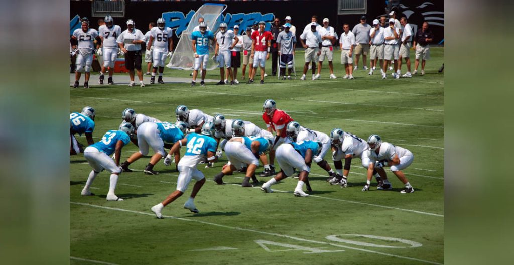 "Carolina Panthers FanFest" by James Willamor is licensed under CC BY-SA 2.0.
