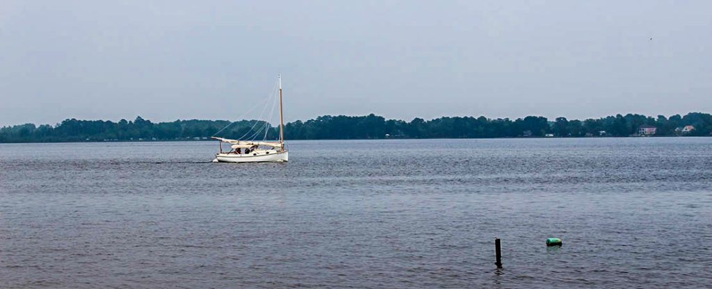 Sailing on the Neuse River. (Wendy Card/NBN)
