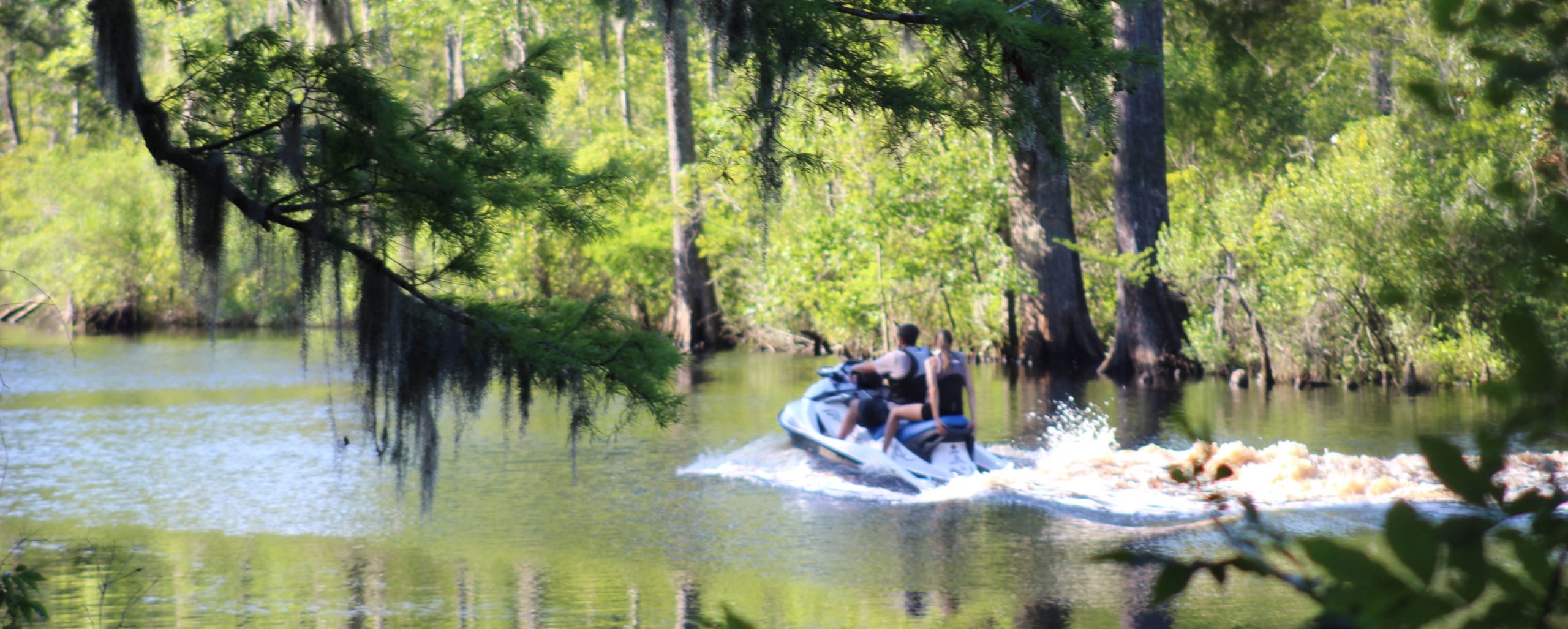 Waterskiing in Brices Creek