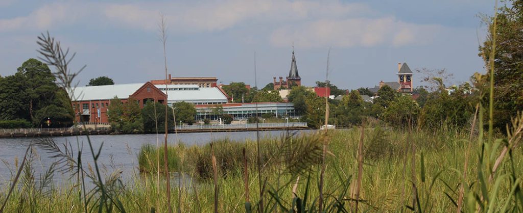 Downtown New Bern cityscape. (NBN Photo/Wendy Card)