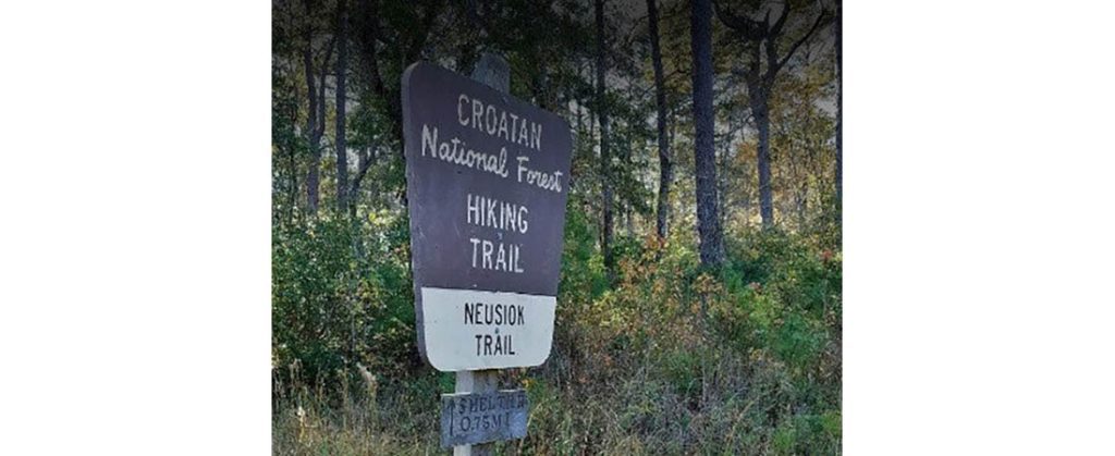 Neusiok Trail in the Croatan National Forest.