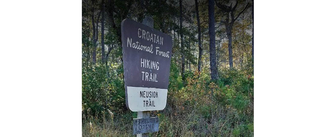 Neusiok Trail Neusiok Trail in the Croatan National Forest.