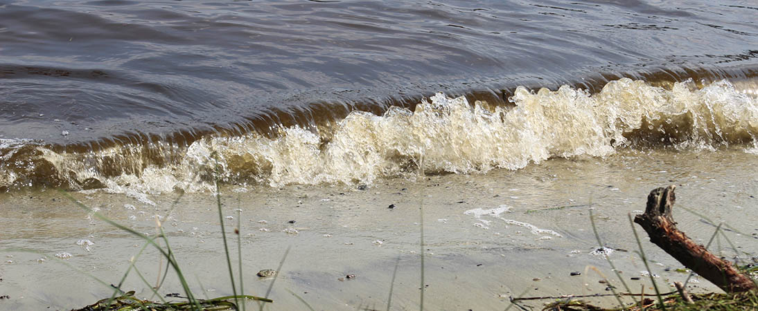 Trent River shoreline in New Bern, N.C.