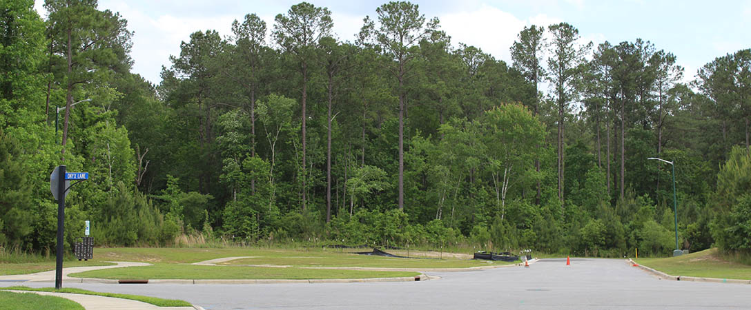 Intersection of Spring Green Pass and Onyx Lane in Carolina Colours.