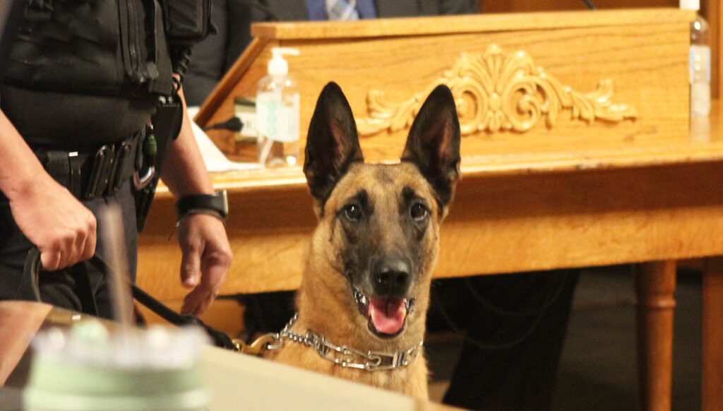 K-9 Ax retires from the New Bern Police Department. (Photo by Wendy Card)