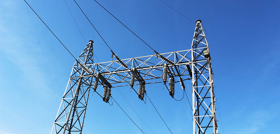 Transmission lines in New Bern, NC. (Photo by Wendy Card)