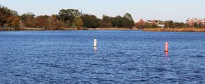 Trent River in New Bern, NC (Photo by Wendy Card)