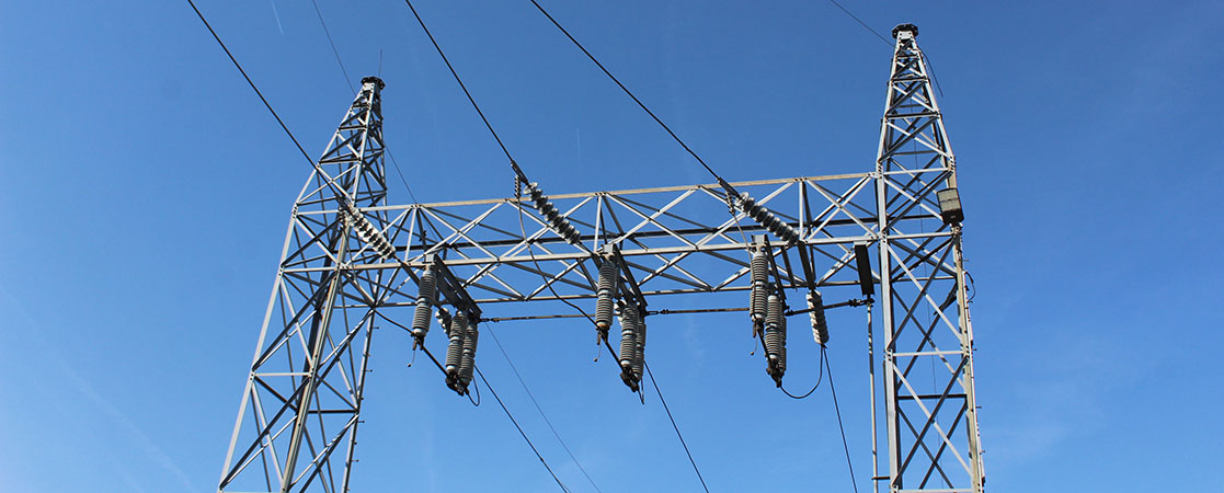 Power lines (Photo by Wendy Card)