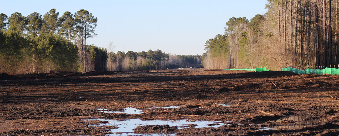 View from Trent Creek Road near Craeberne Forest, Arcadia Village and Trent Creek communities in New Bern looking towards N.C. 43. (Photo by Wendy Card).