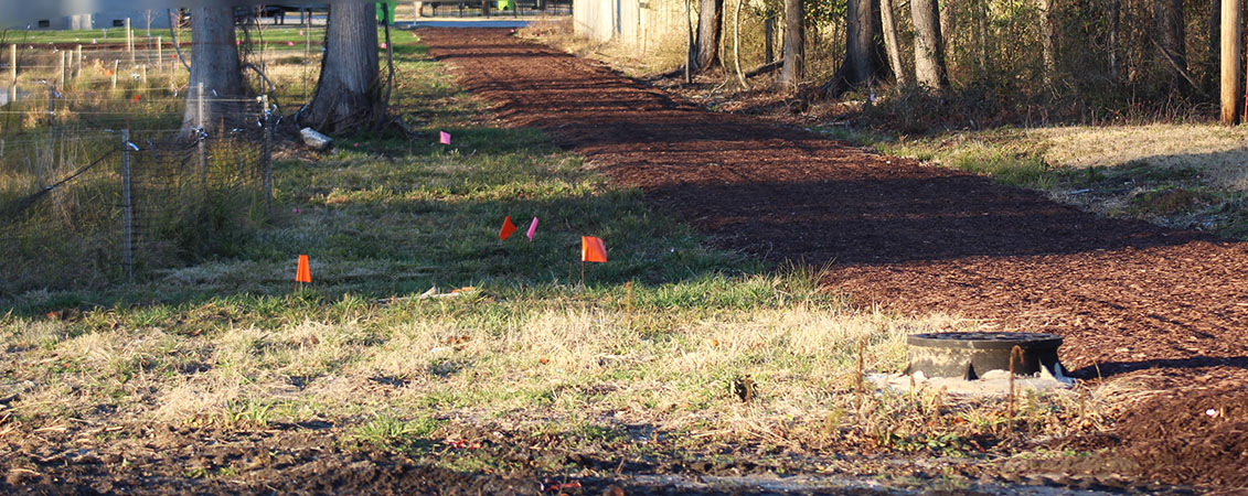 Newly developed path in Duffyfield community of New Bern, NC. (Photo by Wendy Card)