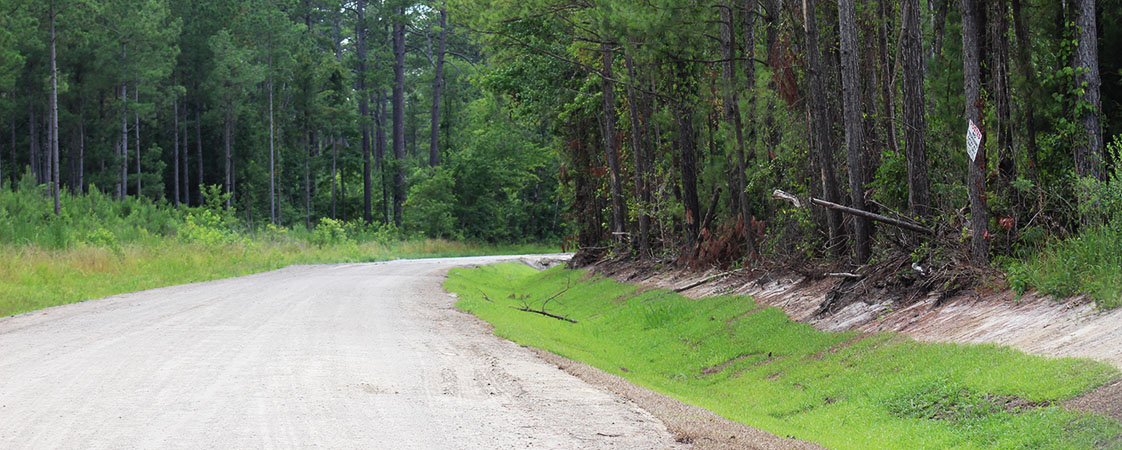 County Line Road adjacent to Bluewater Rise in New Bern, NC. (Photo by Wendy Card)