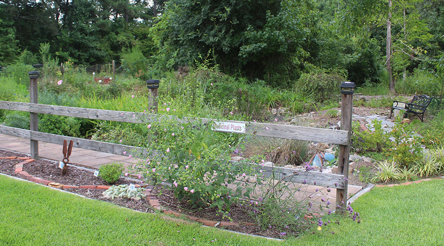 Demonstration garden in New Bern, NC.