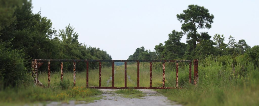 A closed gate on a path that leads to an inventoried roadless area in the Croatan National Forest. (Photo by Wendy Card)