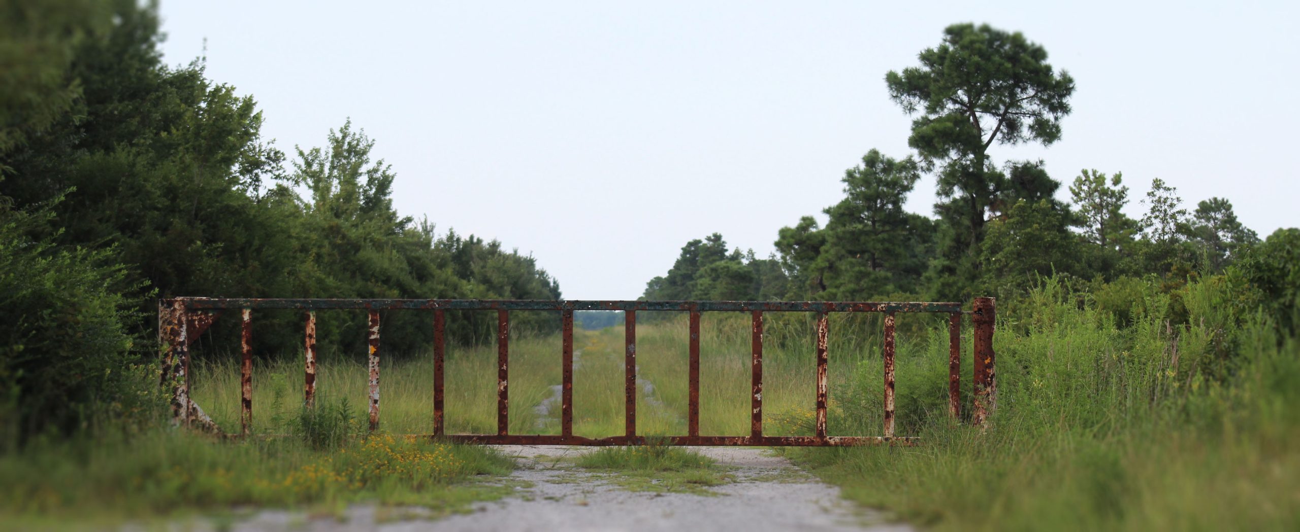 A closed gate on a path that leads to an inventoried roadless area in the Croatan National Forest. (Photo by Wendy Card)