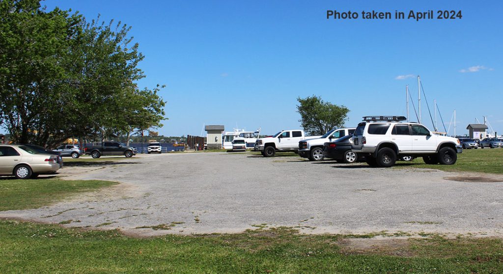 Picture of trees and a parking area on East Front Street in New Bern, NC taken in April 2024. (Photo by Wendy Card)