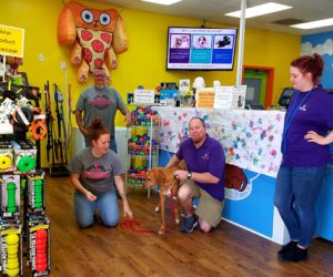 A Dog's Dream and Sally Said So Dog Training