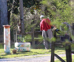 Alderman Johnnie Ray Kinsey doing yardwork at his residence on Goldsboro Street on March 4, 2023.