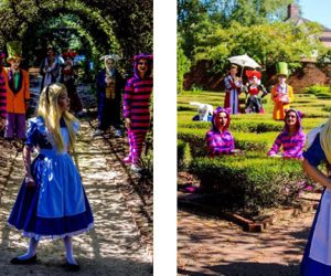 Alice in Wonderland Jr.