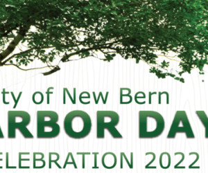 large tree for arbor day