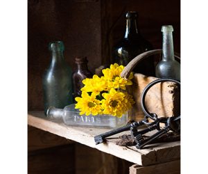 Coastal Photo Club Exhibit