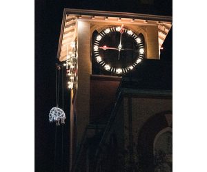 Bear Drop - New Bern New Year's