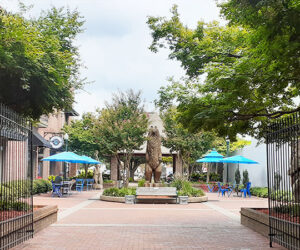 Bear Plaza in Downtown New Bern