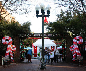 Bear Plaza in Downtown New Bern NC