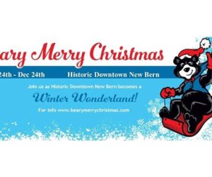 Beary Merry Christmas 2018