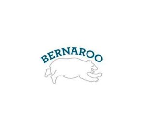 Bernaroo Music and Arts Festival