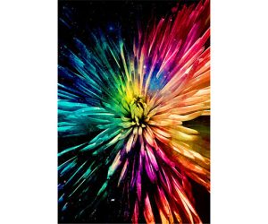 Blooming by Lynda Wright